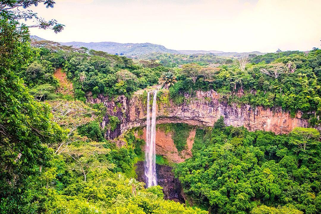 The 83m (272ft) high waterfalls of Chamarel (Cascade Chamarel) in the Black River Gorges National Park in Mauritius. ⠀
⠀
Chamarel is a small village located in the western hills near the west coast of Mauritus at an elevation of around 260m (850ft). If you make only one day trip from the coast, make it to Black River Gorges National Park and the Chamarel area. It is easily accessible from most parts of the island and makes for excellent hiking with some of the best scenery on the island.⠀
⠀
#Chamarel #CascadeChamarel #Chamarelwaterfalls #BlackRiverGorgesNationalPark #BlackRiver #Mauritius #travel #ilemaurice #beach #Africa #indianocean #paradise #islandparadise #wanderlust #igersmauritus #summertime #nature #iloveRIU #RiuHotels #MyRIUTrip #waterfalls #waterfall