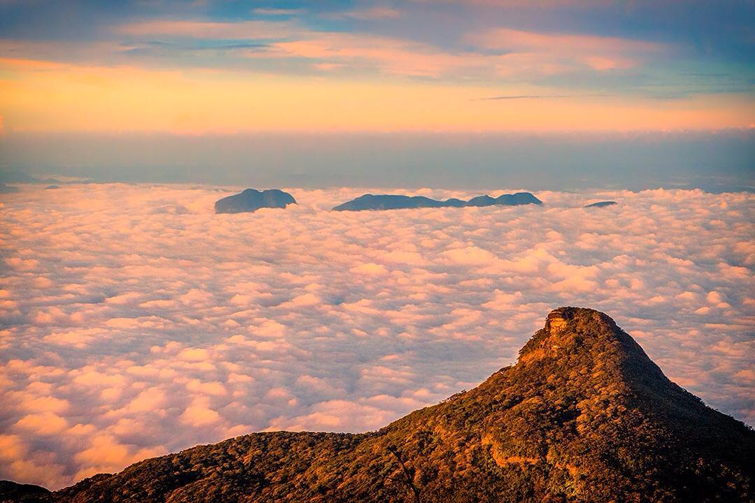 A blanket of cloud fills the valleys and clings to the hillsides surrounding Sri Pada (Sacred Footprint) AKA Adam's Peak in Sri Lanka during our #sunrise pilgrimage to the summit. ⠀⠀
⠀⠀⠀
The mountain is 2,243m (7,359ft) tall, has over 5,500 steps to the summit and has a distinctive conical shape to it. The mountain is significant to a number of religions including Buddhism, Hinduism, Islam and Christianity, with the pilgrimage season beginning on poya day in December and running until the Vesak festival in May. It takes around 4-5 hours to hike up and down the mountain. ⠀
⠀⠀⠀
#adamspeak #nature #world #WonderOfAsia #voyage #tree #pilgrimage #SriLanka #lka #Lanka #ceylon #IndianOcean #ocean #beach #srilankaecotourism #travel #sunset #travelgram #wanderlust #vacation #instatravel #adventure #view #travelphotography #BBCTravel #rgphotobook