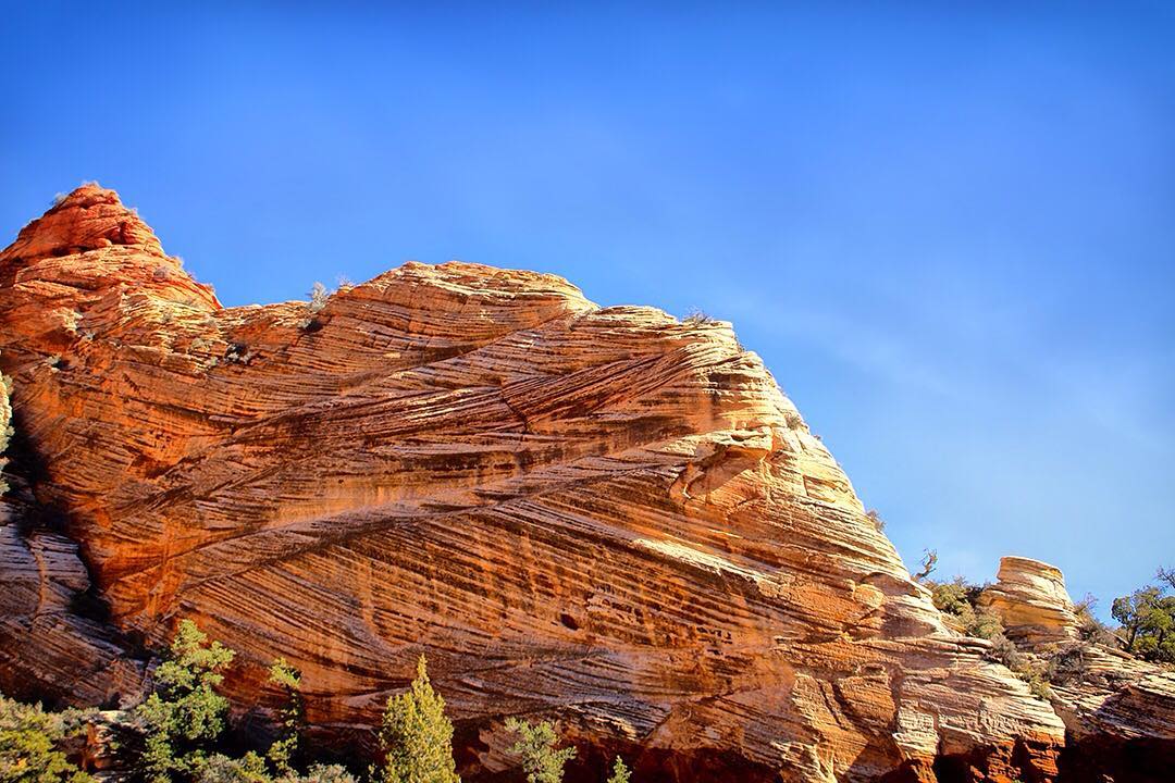 An incredible rock formation pitched against a brilliant blue sky in Zion National Park in Utah, USA.⠀
⠀
We had spent a couple of days exploring Grand Canyon National Park and were enjoying our final meal at our lodge when we got chatting to another group of hikers. They suggested adapting our route to take in Zion National Park. “It’s like a red Yosemite in the desert,” they told us. “You’ll love it.”⠀
⠀
And we did! The massive sandstone cliffs of cream, pink, and red soar dramatically into the sky. We chose to explore three short hikes: the Weeping Rock Trail, the Upper Emerald Pool Trail and part of the Riverside Walk. The Zion Canyon Scenic Drive winds its way through most of the park connecting the trailheads, vista points and other services.⠀
-⠀
-⠀
-⠀
-⠀
-⠀
-⠀
#zionnationalpark #Utah #Zion #hiking #nps #angelslanding #nationalparks #nature #roadtrip #neverstopexploring #keepitwild #thegreatoutdoors #backpacking #adventurethatislife #adventureawaits #adventureculture  #liveoutdoors #hikingadventures #getoutstayout #wellhiked #stayandwander #takeahike