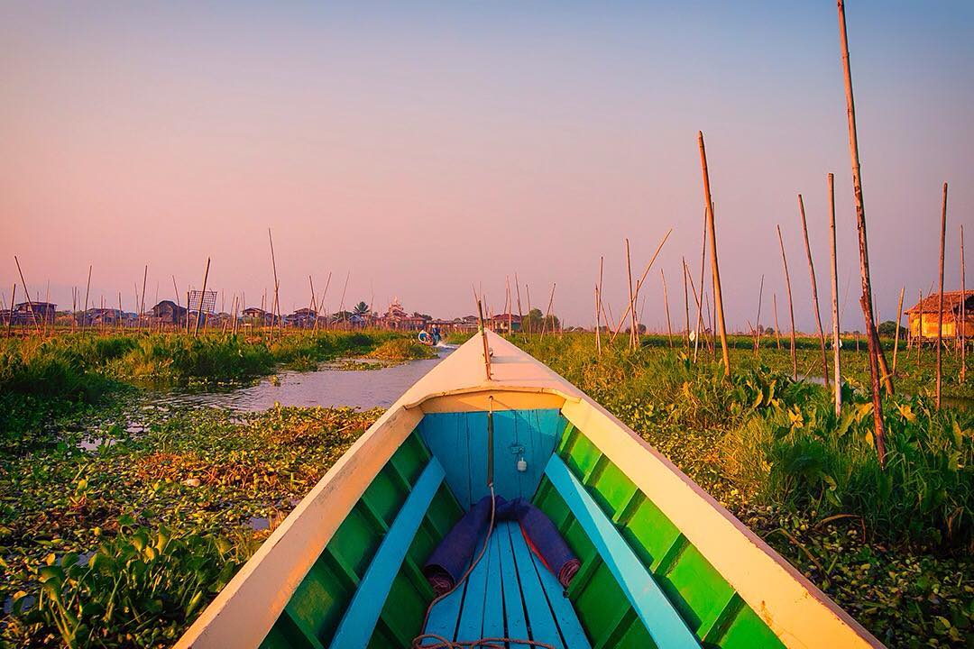 Our boat glides through lotus plants and water hyacinths in the falling twilight on Inle Lake in Myanmar. ⠀
⠀
We spent the morning cycling 33km around the lake and were pleased to swap weary limbs for sea legs. We slid past villages built on stilts inhabited by the local Intha people, leg-rowing fishermen and floating gardens built from strips of water hyacinth and mud, and anchored to the lake bed with bamboo.⠀
⠀
Day 4 on assignment with @gadventures and @lonelyplanet.⠀⠀
⠀⠀
#lpPathfinders #GAdv #lonelyplanet #Myanmar #Inle #Burma #travel #sunset #travelgram #wanderlust #vacation #instatravel #adventure #view #travelphotography #inlelake