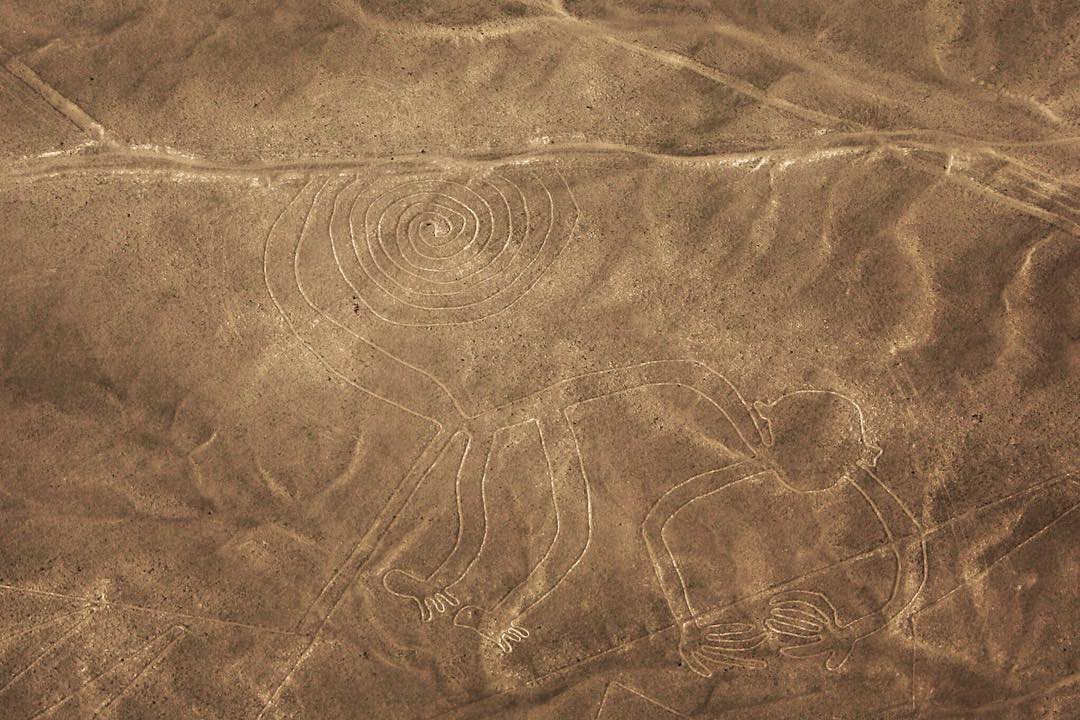 Flying over the 93m (310ft) x 58m (190ft) monkey of the Nazca Lines in southern Peru. ----- Very little ignites my wanderlust as strongly as a great travel mystery. And as travel mysteries go, the mysterious lines of the Nazca Desert in southern Peru are one of the greatest.

The network comprises over 800 straight lines, 300 geometric figures known as ‘geoglyphs’ and 70 animal and plant drawings or ‘biomorphs’. The lines are largely indiscernible from ground level – however, from the skies above they reveal an arresting network of figures and channels which spread across the desert below.

#NazcaLines #Nazca #Peru #Greenpeace #puquios #green #Tiwanaku #science #PumaPunku #NASA #travelmystery #travel #sunset #travelgram #wanderlust #vacation #instatravel #view #travelphotography #roadtrip