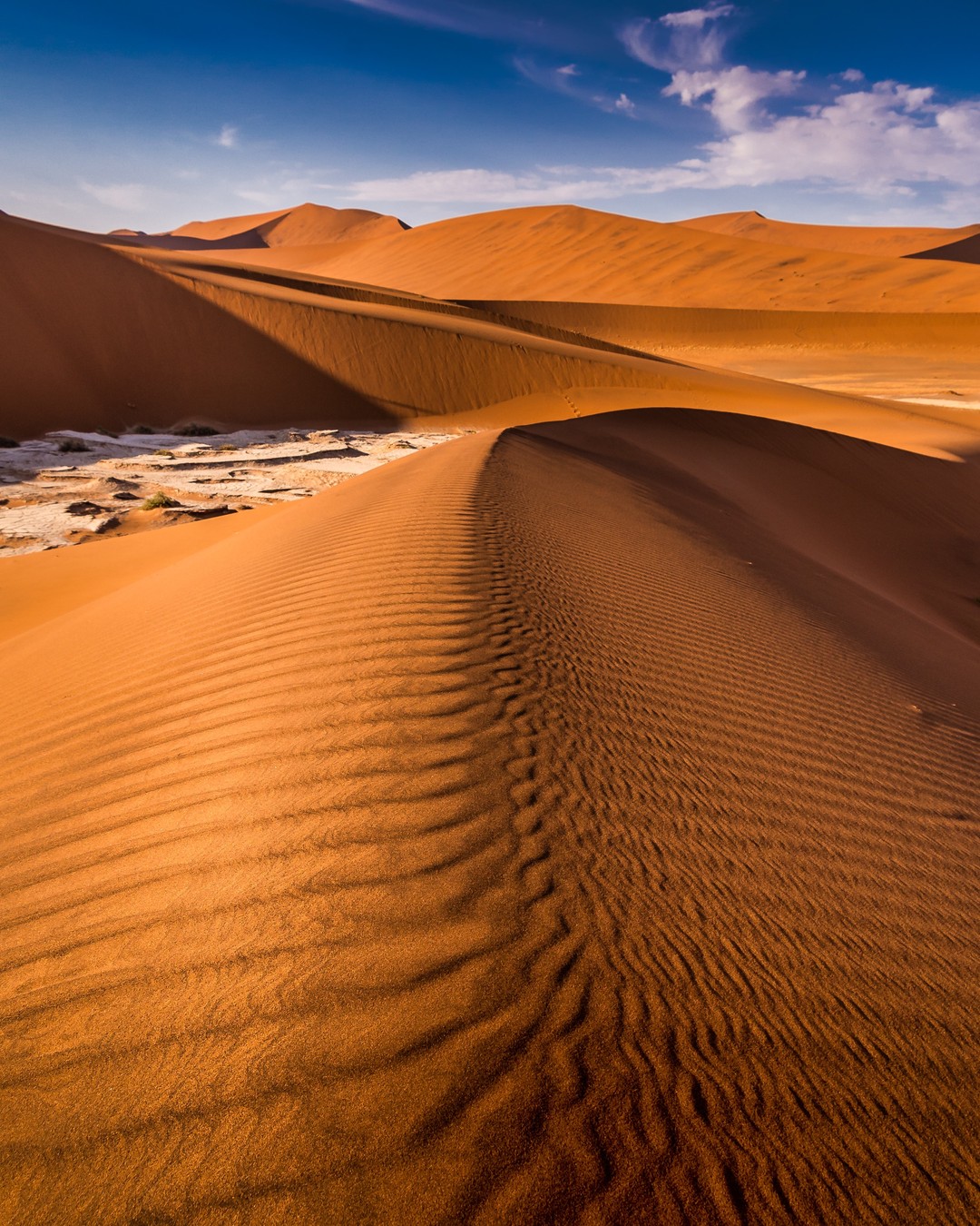 The UNESCO-listed dunes of the Namib Desert in #Namibia are some of the largest in the world.

The dunes, which reach as high as 325m, are forever shifting in shape and hue. The wind moulds and remoulds their contours while their colour changes from ochre to burnished orange to fiery red over the course of a day.
-
-
-
-
-
#NamibDesert #exploringnamibia #deadvleinamibia #seenamibia #namibiatravel #travelnamibia #sharemynamibia #thisisnamibia #lonelyplanet #iamatraveler #stillatraveler #suitcasetravels #tlpicks #roughguides
