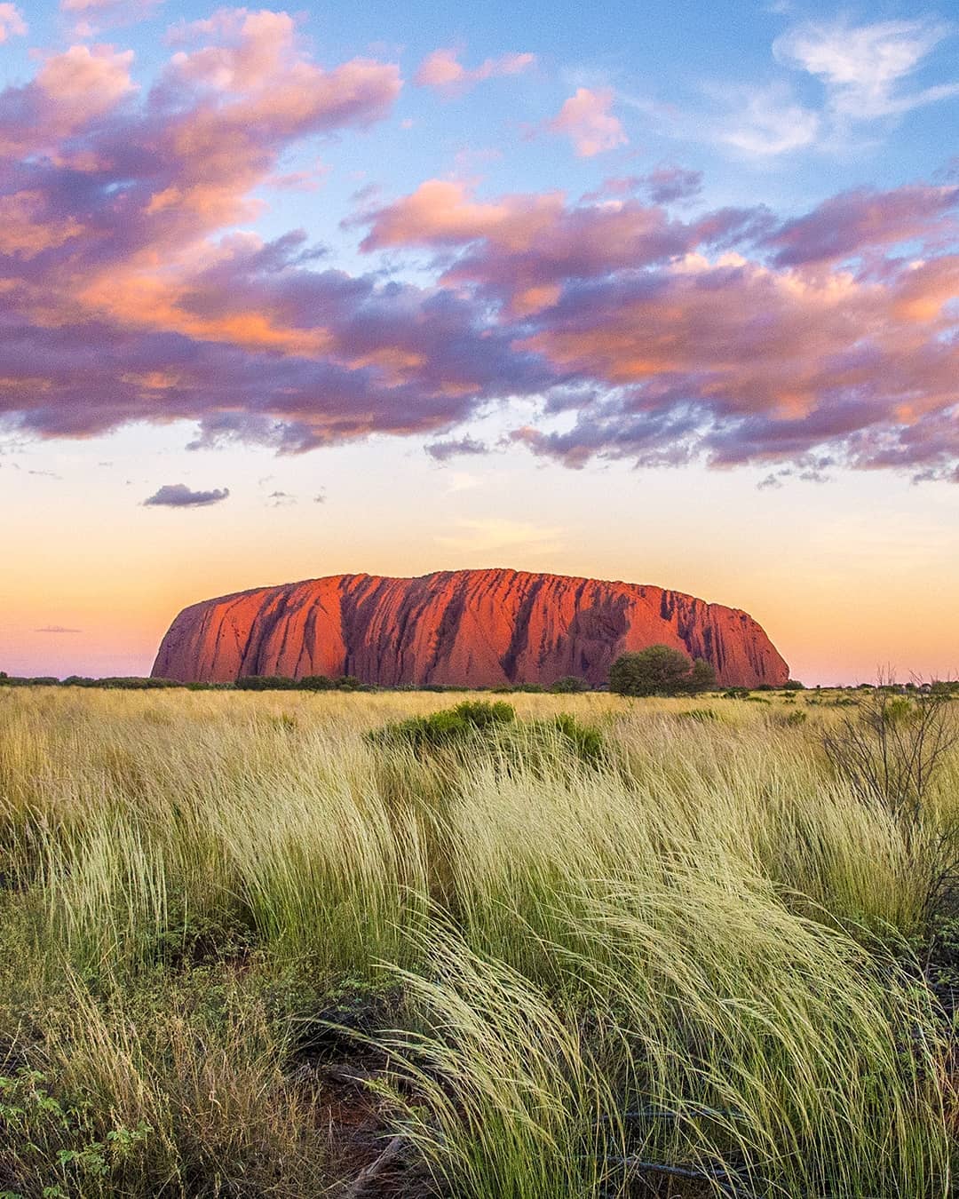 The iconic and striking Uluru (previously Ayers Rock) at its finest during #sunset in the Northern Territory in Australia. ⠀⠀
⠀⠀
The giant sandstone rock formation is located in Uluru-Kata Tjuta National Park, 335km (208mi) southwest of the nearest large town, Alice Springs. We hiked around the base of Uluru – a circumference of 9.4km – before watching the sunset when the red rock turns a crimson pink and makes for a stunning and peaceful experience.⠀
-⠀⠀
-⠀⠀
-⠀⠀
-⠀⠀
-⠀⠀
#Australia #seeaustralia #Uluru #ayersrock #ulurukatatjutanationalpark #ulurusunset #visituluru #visitaustralia #northernterritory #visitnorthernterritory #ntaustralia #katatjuta  #alicesprings #therocktour #theoutback #outback #outbackaustralia #lppathfinders #wellhiked #stayandwander #takeahike #travelawesome #lpPathfinders #GreyhoundAustralia #exploreuluru @AusOutbackNT #NTaustralia #redcentre