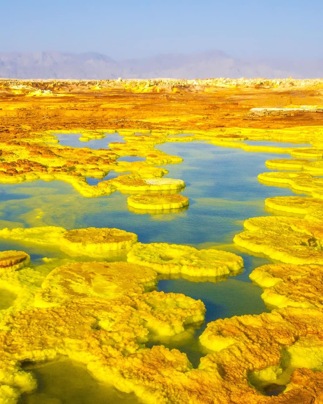 Dallol in #Ethiopia lies 116m (380ft) below sea level in the Danakil Depression and is part of the East African Rift where three continental plates are being torn apart. It's one of the weirdest landscapes we've ever seen! ⠀
⠀
It’s here in the Danakil Depression that scientists discovered Lucy, the oldest and most complete hominid ever found. Lucy has endured extensive research and testing, but here at Dallol, one scarcely needs evidence of her existence. Standing amid this mystical primordia, it feels perfectly feasible that not only death, but life itself could rise from the depths of Dallol.⠀
-⠀
-⠀
-⠀
-⠀
-⠀
-⠀
-⠀
#Dallol #Danakil #DanakilDepression #Afar #AfarRegion #adventurethatislife #liveoutdoors #awesomepix #ourlonelyplanet #travelawesome #passionpassport #danikaldesert #colorfulhotspring #hottestplace #hottestplaceonearth #extemeheat #travelawesome #optoutside #earthpix #neverstopexploring #keepitwild #thegreatoutdoors #lppathfinders