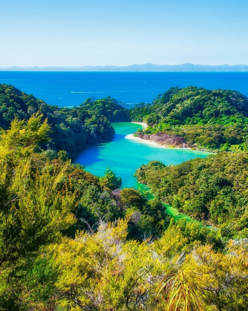 A striking view from a clearing in the forest on the Abel Tasman Coastal Track. We were hiking the trail as part of our tour of New Zealand's South Island with @gadventures and @lonelyplanet.⠀
⠀
The Abel Tasman Coastal Track is peppered with vistas such as this along its 60km of oceanside trail. The trail is set in the Abel Tasman National Park, named after Dutch seafarer Abel Janszoon Tasman. He was the first known European to reach New Zealand during his voyage of 1642. ⠀
-⠀⠀
-⠀⠀
-⠀⠀
-⠀⠀
-⠀⠀
#abeltasman #abeltasmannationalpark #abeltasmancoasttrack #greatwalksnz #newzealand #purenewzealand #nzmustdo #nelsontasman #lovemotueka #southislandnewzealand #southisland #southislandnz #RealMiddleEarth #NZ #visitnewzealand #lppathfinders #gadventures #liveoutdoors #bestintravel #thegreatoutdoors #wellhiked #takeahike #EpicHikes #EpicHikesoftheWorld #hikingadventures #getoutstayout #ig_newzealand #lonelyplanet
