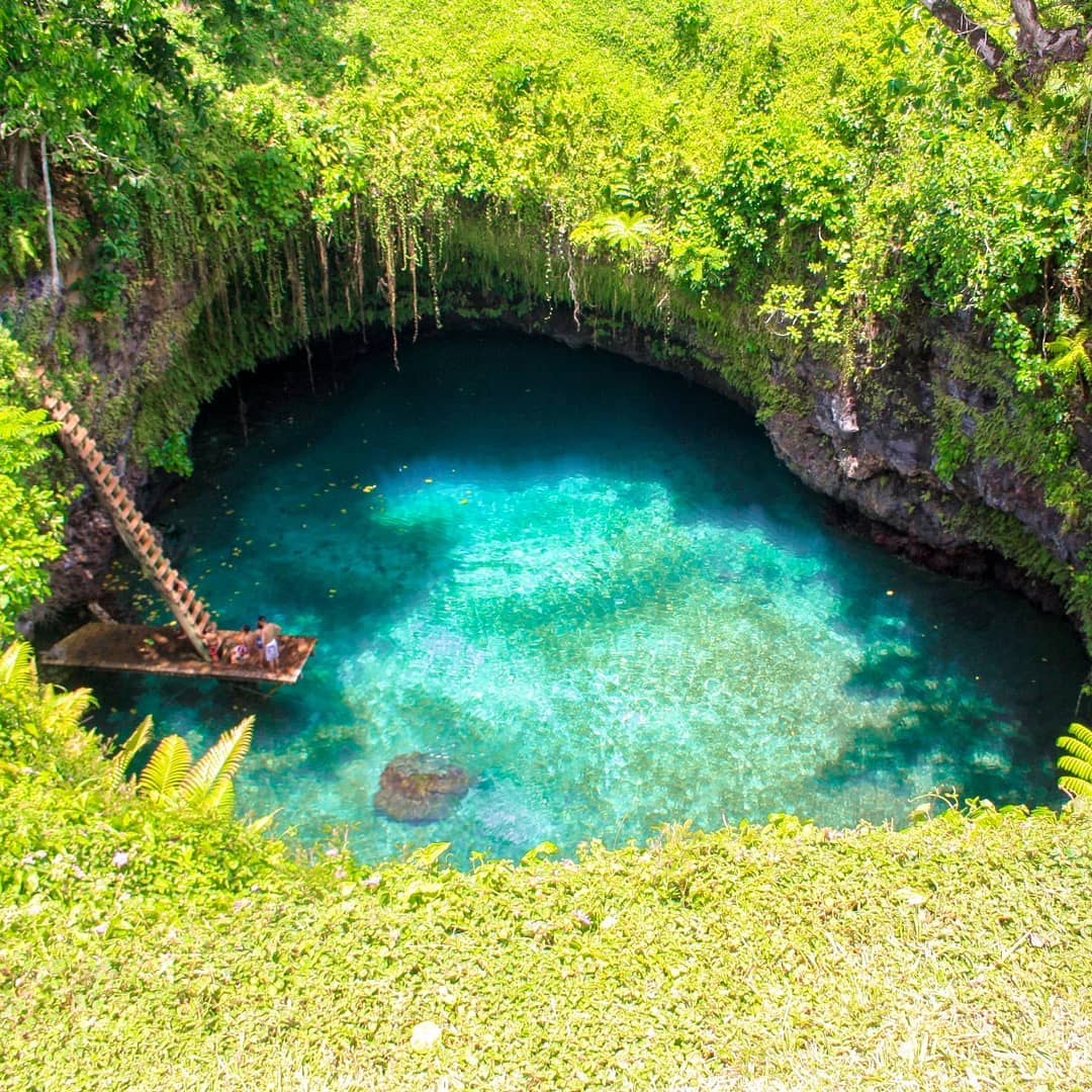 The To Sua Ocean Trench on the island of ‘Upolu in @samoatourism. ⠀
⠀
This place feels magical. Two deep sinkholes with sheer rock walls and turquoise waters within. You can swim under arching rock connecting the two pools or float on your back looking up into the blue sky above. ⠀
⠀
The pools are fed by an underwater trench which stems directly from the violent coastal shores a few meters away. ⠀
-⠀
-⠀
-⠀
-⠀
-⠀
-⠀
#ToSuaOceanTrench #Upolu #BeautifulSamoa #Samoa #southpacific #paradise #islandlife #pacificocean #taro  #islandhome #islandlove #myislandhome #islanddream #offthegrid #stayandwander #polynesia #polynesian