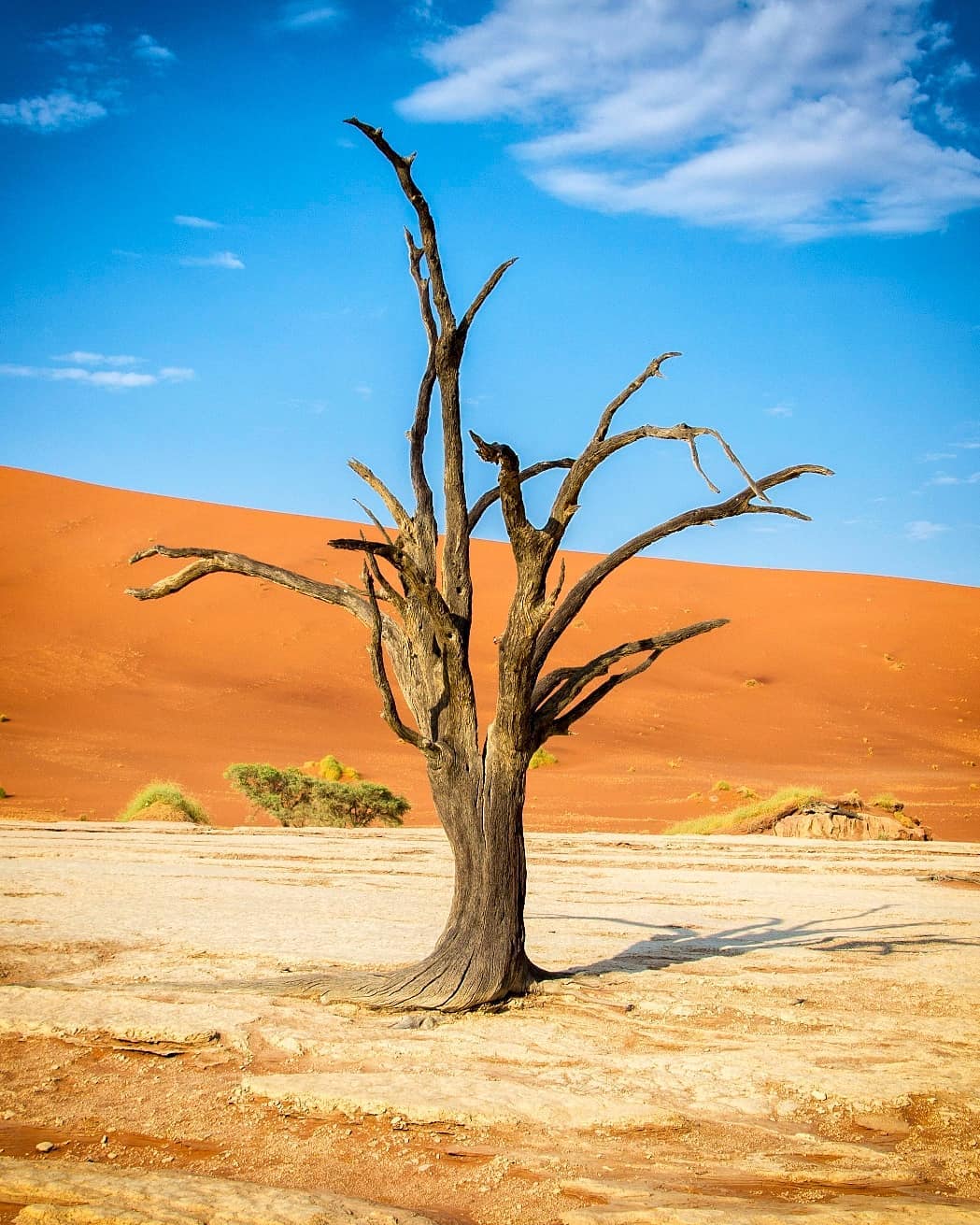 #Sossusvlei in #Namibia was one of those destinations that completely lived up to the image we had in our minds. Sossusvlei, and its iconic neighbour #Deadvlei, were every bit as sensational as I had hoped.⠀
⠀
Vlei is Afrikaans for ‘marsh’, while ‘sossus’ is Nama for ‘no return’ or ‘dead end’. Needless to say, it is a harsh environment! ⠀
⠀
We were visiting Deadvlei and Sossusvlei on a 17-day self-drive #safari through Namibia with @WildDogSafaris. ⠀
-⠀
-⠀
-⠀
-⠀
-⠀
-⠀
-⠀
#exploringnamibia #Namibia🇳🇦 #deadvleinamibia #Namibia #seenamibia #namibiadesert #namibiatravel #namibiatourism #dunes #travelnamibia #sharemynamibia #thisisnamibia #namibia_africa #lpPathfinders #rgphoto #BBCTravel #lonelyplanet