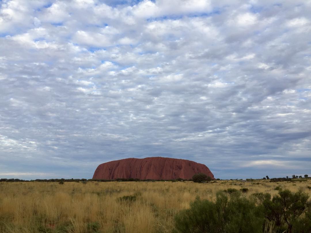 Uluru, NT, Australia 🇦🇺.
.
I was genuinely blown away the first time I saw Uluru. It's the biggest single rock in the world and is mostly made of iron. It gets its red colour from the iron rusting on the outside. Even in cloud, it's a beautiful sight.
.
#travel #australia #uluru #northernterritory #backpacker #ayersrock #instatravel #bucketlist #traveller #nt #oz #straya #outbackaustralia #northernterritories #yulara #ulurusunset @exploreuluru #exploreuluru #alicesprings #roadtrip #tour #backpacking #australia🇦🇺#cuinthent #redcentrent #outback #redcentre