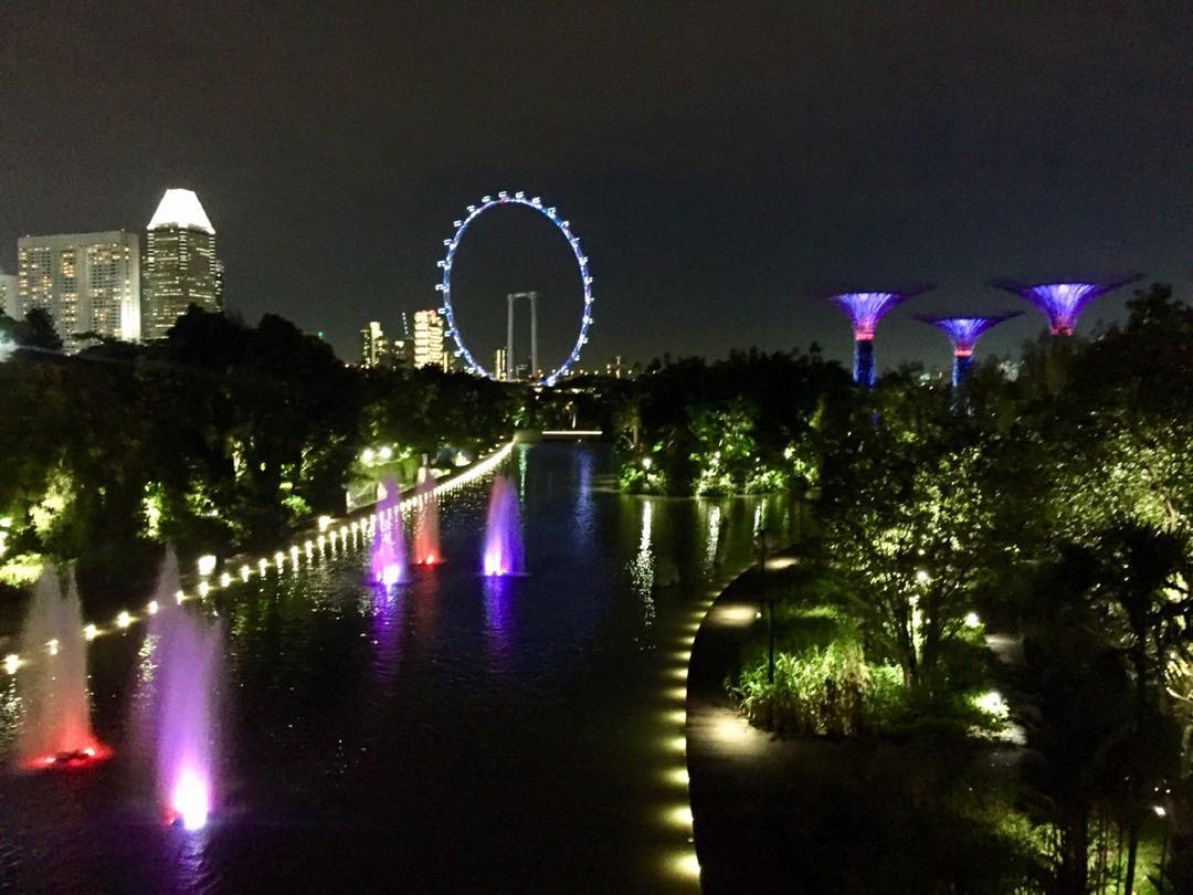 Gardens By The Bay, Singapore 🇸🇬.
.
A magical sound and light show occurs every evening at these environmentally friendly gardens every day. A must see in Singapore.
.
#travel #singapore #gardensbythebay #marinasands #backpack #traveller #lightshow #environment #marinasandsbay #seasia #backpacking #travelling #seasiatravel #instatravel #travelphotography #city #gardens #singapura #nightphotography
