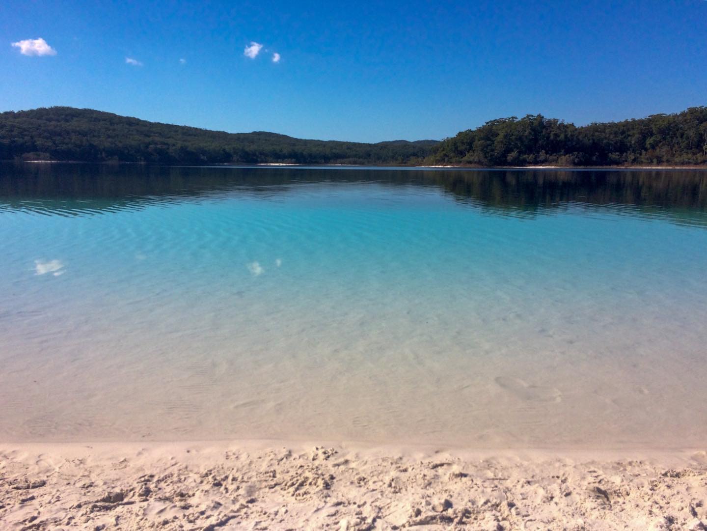 Fraser Island, Australia 🇦🇺.
.
I’ve had a lot of time recently to go through old photos and I’ve found so many from my time in Australia. I forgot how blue the water was at Lake Mackenzie on Fraser Island! But being the middle of winter it was also so cold!
.
#travel #australia #backpacking #fraserisland #traveller #queensland #backpacker #travelling #instatravel #explore #travelgram #australian #qld #kgari #lakemckenziefraserisland #fraserislandtour #traveltheworld #traveladdict #visitaustralia #lake #bluesky #roadtrip #lakemackenziefraserisland #lakemckenzie