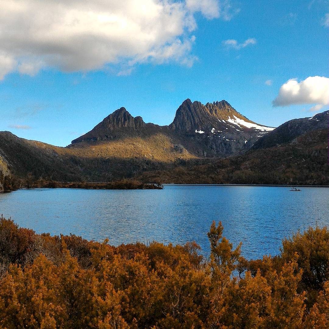 #cradlemountain God's country! West Coast Wilderness. Neighbourhood travel spot with Walls of Jerusalem mountain on the other side of the Cradle Mountain & Cradle Valley. Open range for babies to grey nomads travel for only 10 minutes walk or 6 days hiking options on all the designated walking tracks provided from car park. Entry fees apply at the Car park info centre. #Tasmania #spring #fusiontourism #rechargelife #travel #digitalnomad #periscope #vacation #digitalnomads #traveler #instatravel #scenery #nature #wildlife #holiday #photooftheday #sunrise #sunset #travelling #mountain #tourism #tourist #localtravel #travelgram #igtravel #landscape  #travelblog #flora #westcoastwilderness