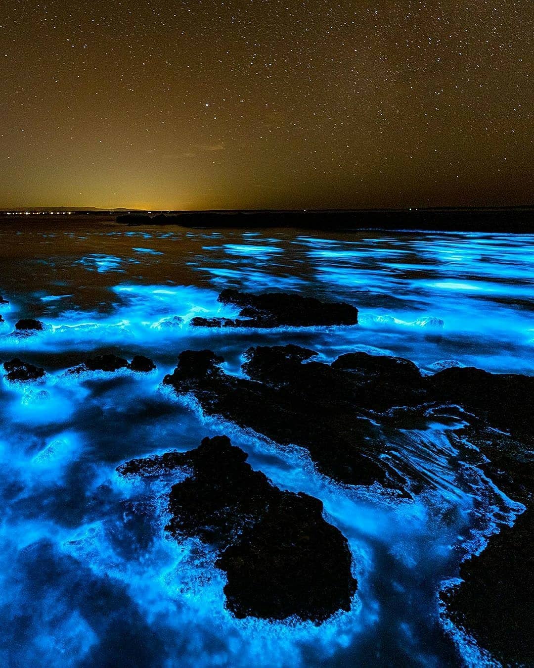 Australia extraordinary night beauty ▶
Reposted from @jordan_robins A few more video clips and photos of the incredible bioluminescent algae that was in Jervis Bay a few weeks ago!
Have you seen this amazing phenomenon before?
Swipe across to see the different videos and photos 🌌 #earthpix #discoverearth #ourplanetdaily #naturegeography #nakedplanet #earthcapture #earthfocus #seeaustralia #newsouthwales #jervisbay #bioluminescence #beautifuldestinations