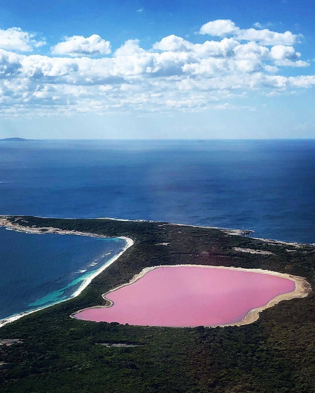 🔷@Regran_ed from @australiasgoldenoutback -  How is this real life?! 😍 Lake Hillier on Middle island off the coast of Esperance is an absolute dream to see in person 💕 As it is situated on an island, the only way to see this bubblegum coloured beauty is from the sky, or on a charter boat 🚤 The contrasting pink, greens, blues, together with the amazing islands of the Recherché Archipelago as the backdrop, creates a sight you'll never forget! 📷 @molityf 📍 Lake Hillier, on Middle Island, @ExperienceEsperance @VisitEsperance @WesternAustralia @Australia - #westernaustralia