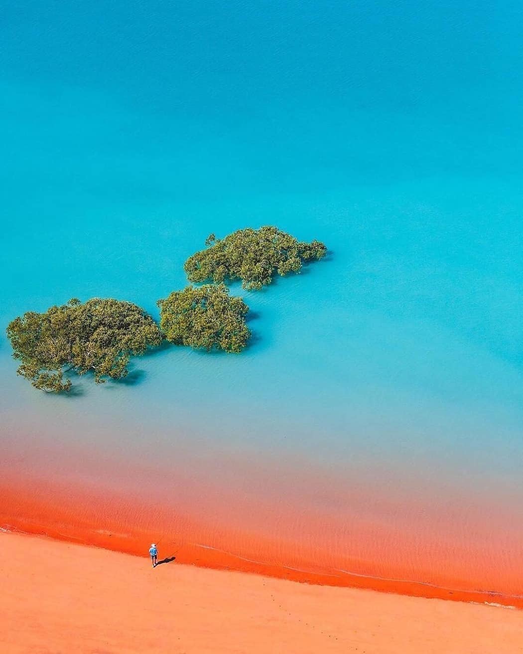You'll see the Red planet in WA too 🔷@Regran_ed from @wondersloft - 🌏 Broome, Western Australia⠀
. ⠀
📸 @saltywings⠀
. ⠀⠀
. ⠀⠀
#wondersloft#travel#travelgram#travelling#traveling#travelphotography#traveller#travelholic#travelers#traveler#travellers#travels#travelbag#travelguide#travelblogger#travelinggram#travel_captures#travelpic#travelphoto#travellife#instagood#photooftheday#tbt#picoftheday#instadaily#Broome#WesternAustralia#Australia#Ocean