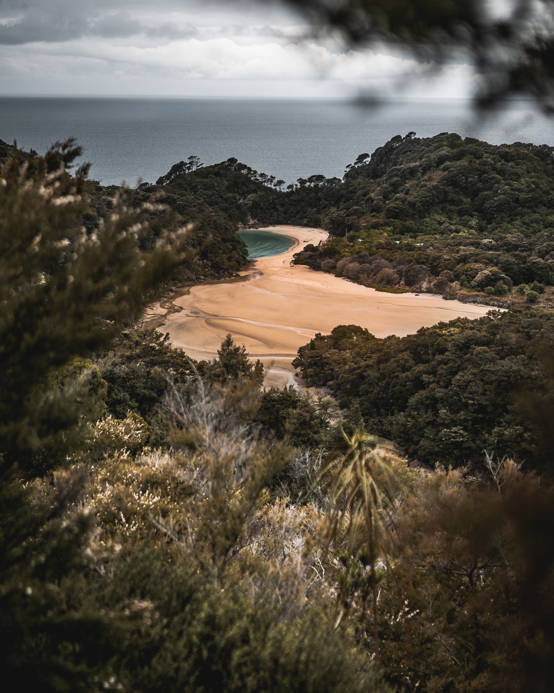 😍 Nouvelle-Zélande, Abel Tasman ⠀⠀⠀⠀⠀⠀⠀⠀⠀
⠀⠀⠀⠀⠀⠀⠀⠀⠀
Si vous deviez partir sur ce bout de sable pour le week-end. Quel serait la première chose que vous mettriez dans votre sac à dos ? 🤔😄⠀⠀⠀⠀⠀⠀⠀⠀⠀
⠀⠀⠀⠀⠀⠀⠀⠀⠀
Bon weekend à tous ! 😘⠀⠀⠀⠀⠀⠀⠀⠀⠀
⠀⠀⠀⠀⠀⠀⠀⠀⠀
Jeff 😉