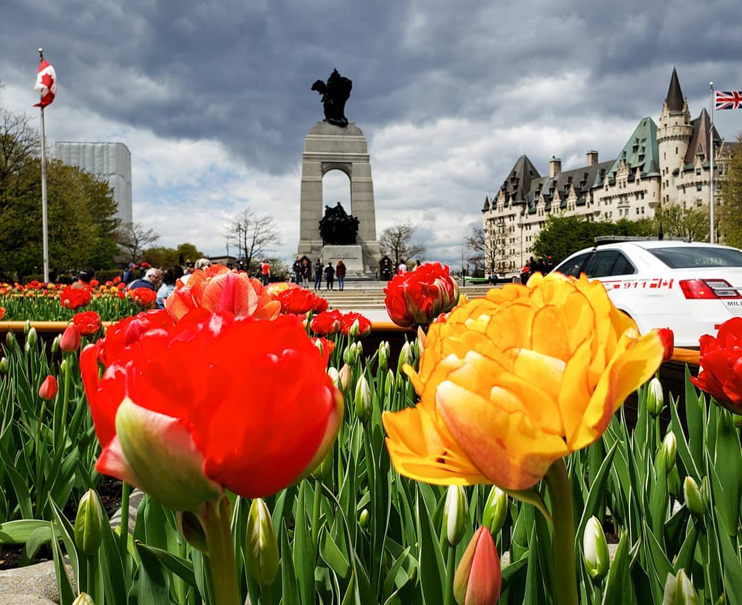 Canadian War Memorial 
#myottawa #ottawainbloom19 #tulipfestival #tulpen #discoverON #explorecanada #Canada