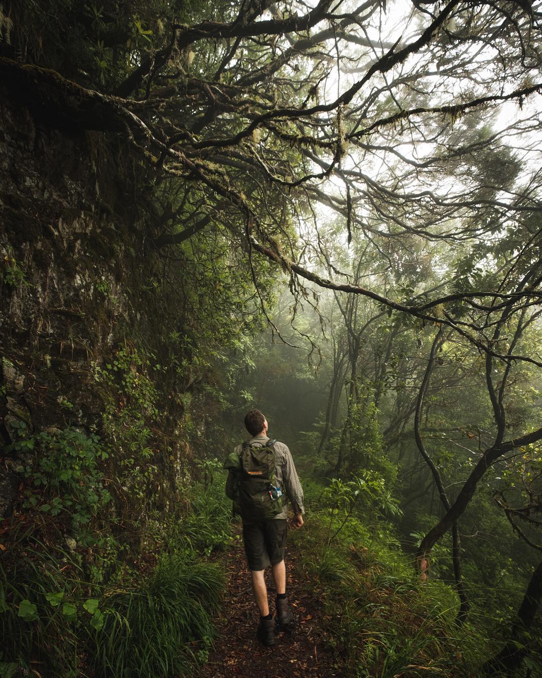 Brouzdat si ty traily snů .
——————————————————————
Walking on a dream.🙏
🌿

#budvdecny#ztracenvraji#tyjsitentvurce#denikcoffeeholika#pinguinoutdoor#junglediary
.
.
.
.
.
.
.
#profotkudoraje#zijusisvujsen#meditation#nature#mountains#fujifilm#landscape#hike#forest#jungle#greenplanet
#EarthOfficial#roamtheplanet#keepitwild#theglobewanderer#earthfocus#ourplanetdaily#stayandwander#folkvibe#foggy#neverstopexploring#czechroamers#ikoktejlcz#folkgreen @ikoktejlcz 
@fujifilmcz
@fujifoto.cz
@artofvisuals