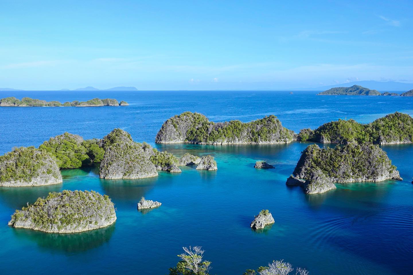 Piaynemo is an iconic must see in Raja Ampat. Stunning viewpoint. 🤩
.
Piaynemo is undoubtedly the most famous destination in Raja Ampat. Quite otherworldly, the magical seascape feels like it’s straight out of a postcard. There’s no way to exaggerate the beauty of the cluster of tiny islands scattered across the deep blue sea, surrounded by different shades of turquoise. Climb down the stairs (there are about 300 steps) from the viewpoint and you will meet a few coconut sellers.
.
.
#piaynemo #piaynemoisland #piaynemorajaampat #piaynemotrip #piaynemoislands #piaynemohomestay #piaynemoislandrajaampat
#rajaampat #lastparadise #dive #diving #liveaboard #divetrip #tauchen #bluemagic #fourkings #scubadiving #scuba #underwaterphotography #rajaampatisland #underwater #rajaampatdiving #dive #capekri #mares #padi @maresjustaddwater @paditravel @paditv @girlsthatscuba @ssi_international #misool #diversity #diver #divers #scubadiver