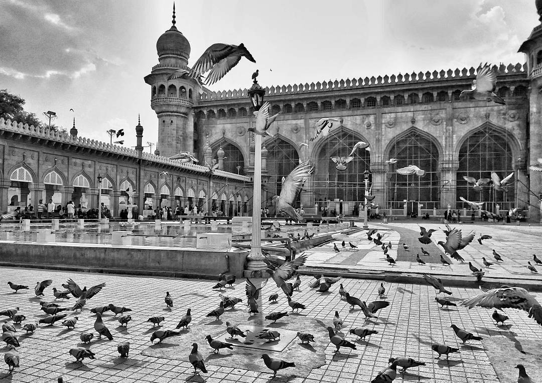 "Sometimes, flying feels too godlike to be attained by man. Sometimes, the world from above seems too beautiful, too wonderful, too distant for human eyes to see . . ."-Charles A. Lindbergh

#fly #bird #birds #pigeon #makkah #mosque #worship #religion #islam #hyderabad #instahyderabad #hyderabaddiaries #hyderabadinstagrammers #so_hyderabad #bnw_india #bnwphotography #bnw #blackandwhite #blackandwhitephotography #blackandwhitepic #instabnw #travelphotography #travel #indiashutterbugs #indiapictures #storiesofindia #india #photos_of_india #photographers_of_india #monochromeindia