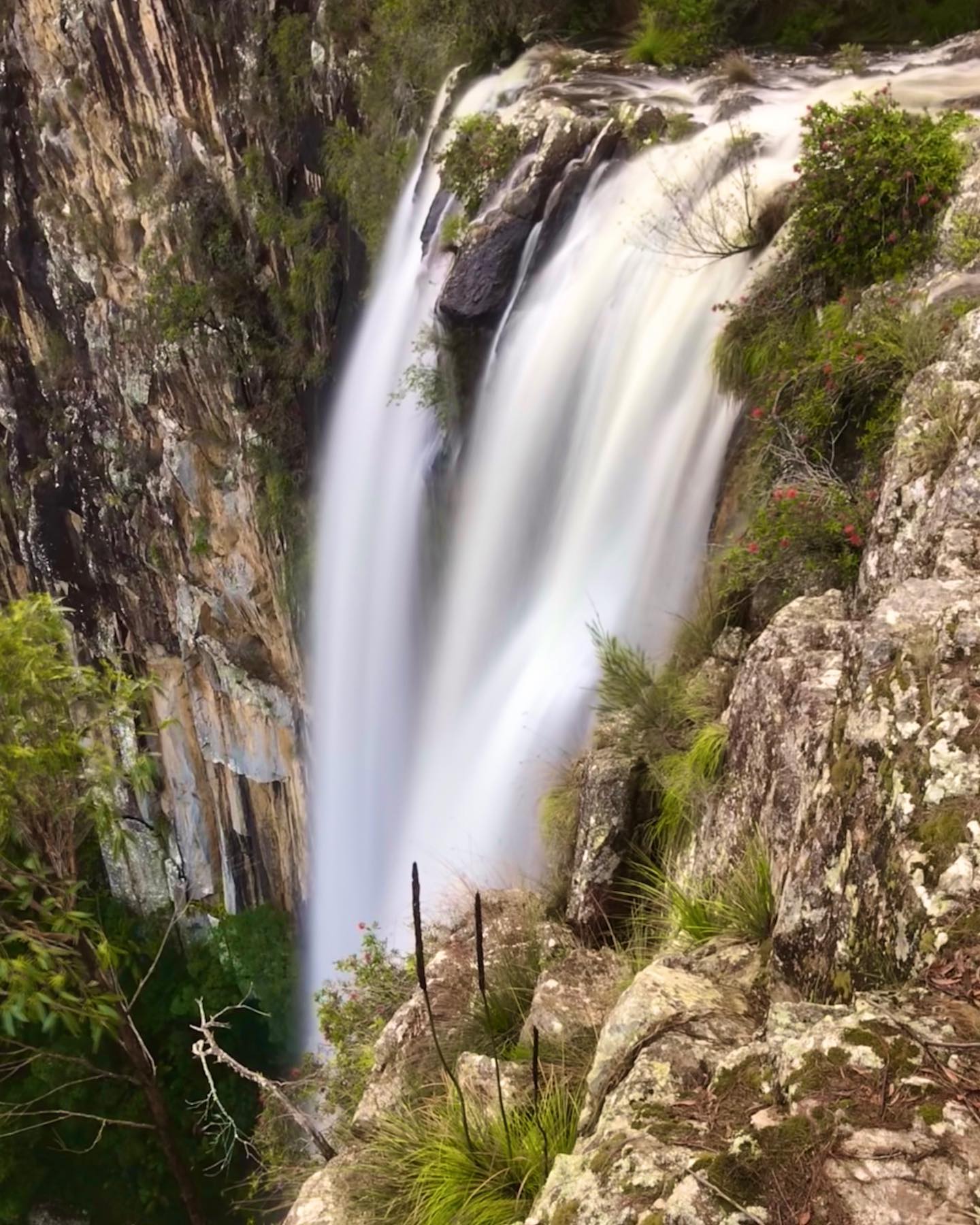 #visitnsw #nswnationalparks #minyonfalls #minyonfallsadventure #waterfallsnsw #roadtrip2020🚘 #camping⛺ #waterfallchasers #waterfallfromthetop #waterfalllovers