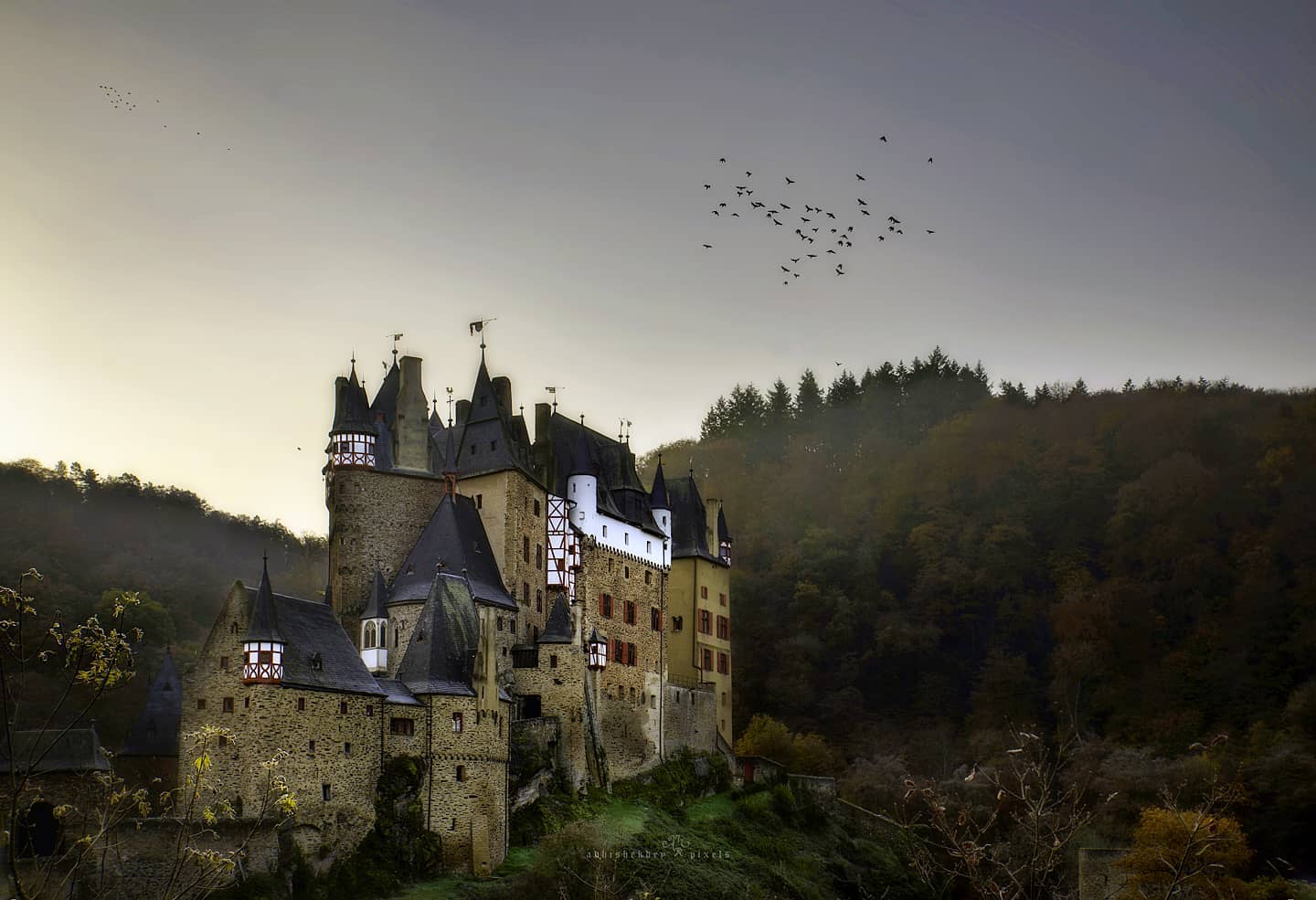 Reverie

Burg Eltz is one of the best hidden gems of Germany. Though it is getting popular nowadays I still feel the castle has a fantastic vibe because of its location and archaic architecture. The castle is in possession of the Eltz family for more than 800 years.

#abhishekdeypixels 
#visitgermany 
#nikondach 
#passionpassport 
#OTHallofFrame 
#outlooktraveller 
#PWGPOV
#photowalkglobal 
#ourfotoworld 
#YourshotPhotographer 
#planetearth
#in_Germany 
#dslrofficial 
#neverstopexploring 
#morning 
#fantasy 
#instagood 
#deutschland 
#burgeltz 
#lonelyplanet 
#tripotocommunity 
#tlpicks 
#exploretocreate 
#eyesopentalent 
#CreateYourLight
#avisualdiaryofficial