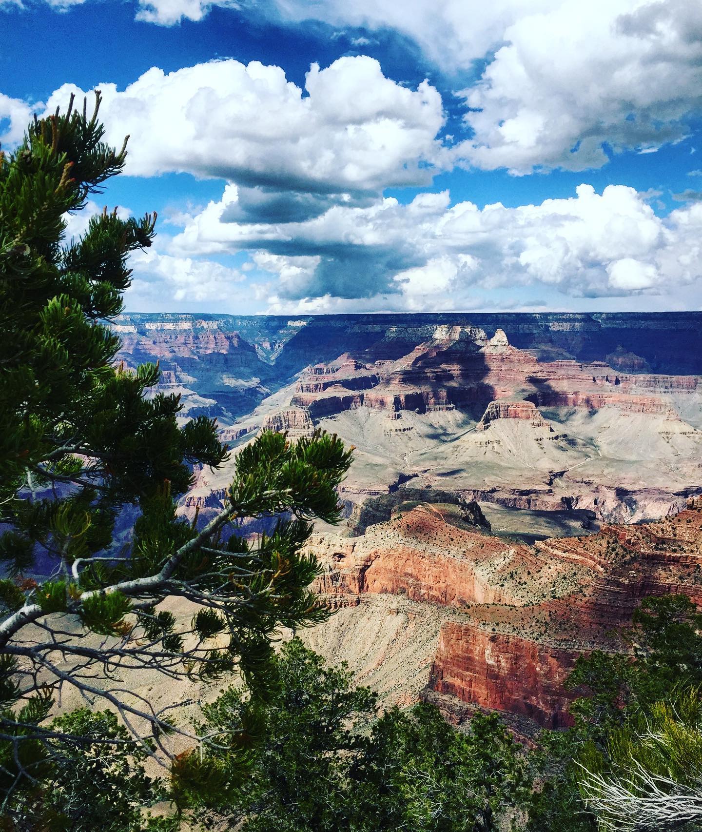 Grand Canyon NP, Arizona
The Grand Canyon is something everyone needs to see at least once. We were totally impressed at our first visit. Standing at the rim's edge left us in great awe. 
What was your first impression?

#usa #us #usatravel #usatravels #usatrip #arizona #arizonagram #grandcanyon #grandcanyonnationalpark #grandcanyonnps #grandcanyonstate #visitarizona #arizonanature #nature_perfection #naturelovers #awesometravel #awesomeearth #awesome_earthpix #arizonaphotographer #beautifuldestinations #beautifulplaces #explorearizona #passportpassion #picoftheday #naturephotography #travelphotography #traveltheworld #exploretheworld #travelcouple #travelgoals