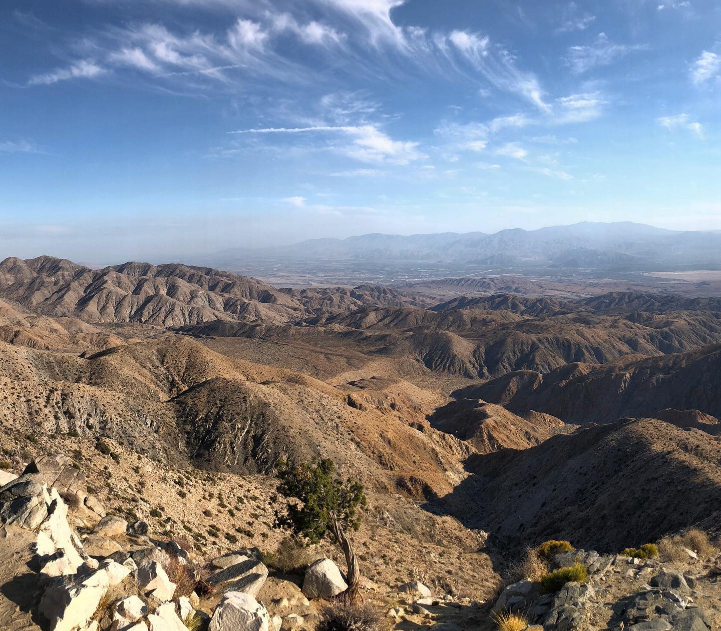 Keys View, Joshua Tree NP, California

@ccountryatheart #usasehnsuchtstage 

Currently, we would even be happy if we could travel to the USA at all. We almost wouldn't care about the place. If we had the choice, then of course Palm Springs. Hiking the Indian Canyons, relaxing by the pool, great people, amazing food and drinks. Within easy reach of LA and San Diego and Joshua Tree NP on our doorstep. Should we be fed up of the heat (which I can't imagine), then there are still the San Bernadino Mountains.

#usa #us #unitedstates #unitedstatesofamerica #america #usatravel #usatravels #usatrip #californiatrip #california #californialove #californiadreaming #joshuatreenps #joshuatree #keysview #desertlandscape #desertlove #amazingview #amazingdestination #onlyincalifornia #travellover #travelgrams #explorecalifornia #picoftheday #travelblogger #realusa #usaadventures #travelcapture #passionpassport
